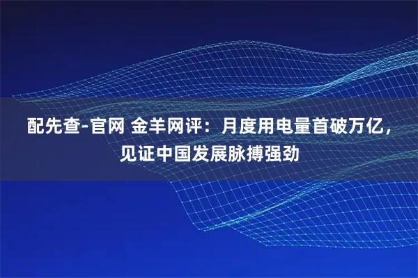 配先查-官网 金羊网评：月度用电量首破万亿，见证中国发展脉搏强劲