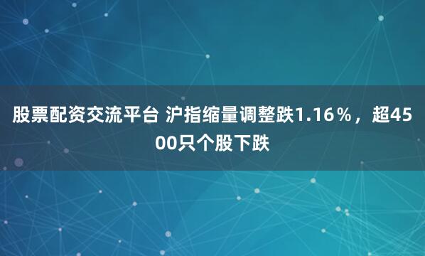 股票配资交流平台 沪指缩量调整跌1.16％，超4500只个股下跌