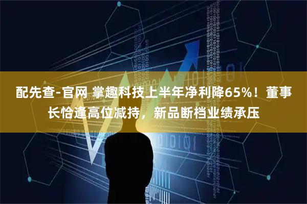 配先查-官网 掌趣科技上半年净利降65%！董事长恰逢高位减持，新品断档业绩承压